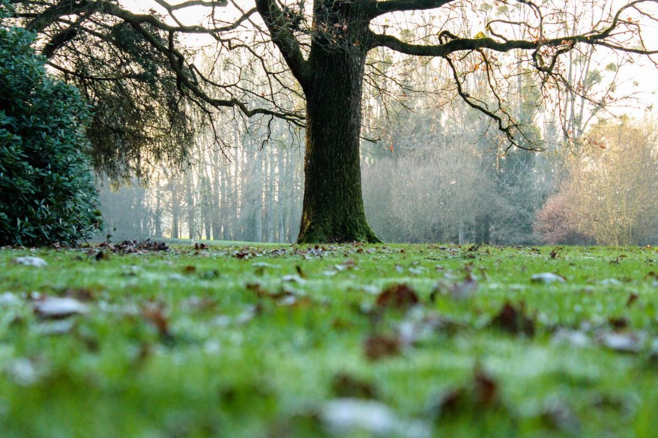Chateau De La Chasse Beauvais Romagne  Ngoại thất bức ảnh
